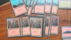 Magic MTG FBB Basic Lands Lot 200+ Italian black border www_MoxBeta_com - Image 2
