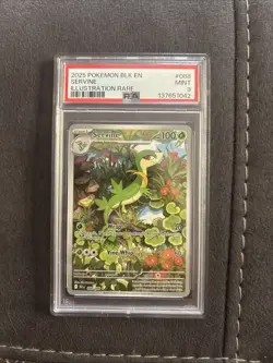 POKEMON 2025 Black Bolt Illustration Rare SERVINE #088 PSA 9 Mint RARE - Image 1