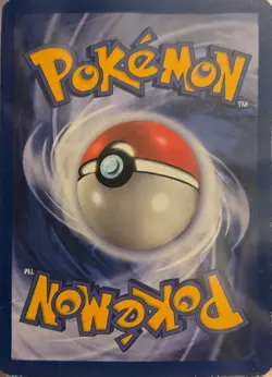 Pokemon TCG Venonat 63/64 Jungle 1st Edition Regular PSA 6 English 1999 - Image 5