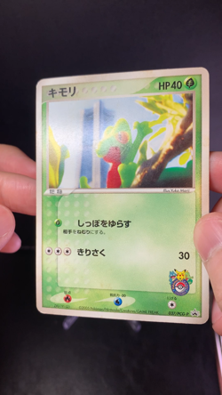 Treecko 037/PCG-P Pokemon Center Yokohama Promo 2005 Japanese Pokemon Card - Image 2