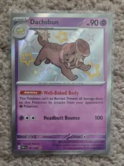 Dachsbun 161/091 Pokemon Sv: Paldean Fates Shiny Rare Holo - Image 1