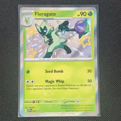 Floragato - SVP 077 - Baby Shiny - Black Star Promo - Pokemon Card - NM/M - Image 1