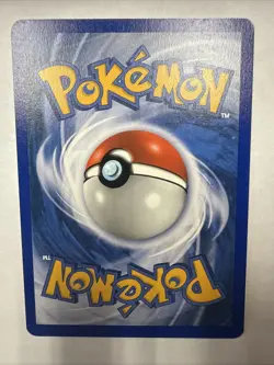 The Pokemon Company Lotad EX Sandstorm 66/100 Common Basic Regular EN 40HP 2003 - Image 2