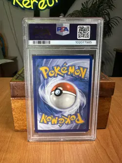 Zeraora 151/142 - Stellar Crown Illustration Rare Pokemon TCG PSA 10 - Image 2