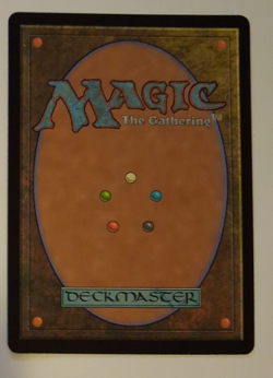 Hallowed Haunting Borderless NM Duskmourn Special Guest MTG Magic the Gathering - Image 2