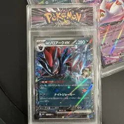 Pokemon TCG Japanese Ex Slabs Lot Wigglytuff Ns Zoroark Mega Scrafty Dream - Image 3