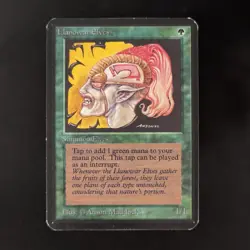 MTG \>> Llanowar Elves (EX) <<// Alpha - 341 Trading - Magic - Image 1