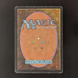 MTG \>> Tropical Island (PL) <<// Revised - 341 Trading - Magic - Image 2