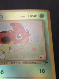 Ledyba Reverse Holo Japanese Card Southern Islands LP - Image 4