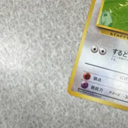 Pokemon TCG Raticate Southern Islands Japanese - Image 2