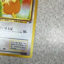 Pokemon TCG Raticate Southern Islands Japanese - Image 3