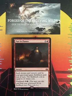 Past in Flames The List from Goblin Storm Secret Lair - Image 1