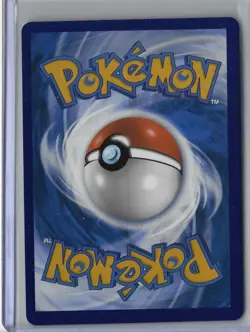 Terapagos ex 165 Holo Promo Scarlet & Violet Promo Pokemon Near Mint - Image 2