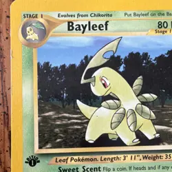 The Pokemon Company Bayleef Neo Genesis 1st Ed 29/111 80 HP Unc English - Image 2