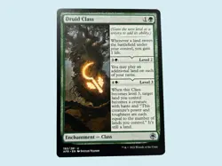 Druid Class, Forgotten Realms, Near Mint, Magic the Gathering MTG - Image 1