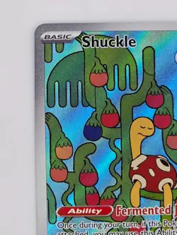 Shuckle 136/132 Pokemon TCG Mega Evolution Illustration Rare Holo NM - Image 3
