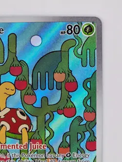 Shuckle 136/132 Pokemon TCG Mega Evolution Illustration Rare Holo NM - Image 4