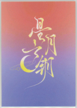❤ROBIN - Goddess Story Anime Waifu Card - KEY OF THE MOON & STARS - XYS-008 - Image 3