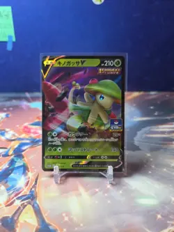 Breloom V 176/S-P Gym Promo Pokemon TCG Japanese VLP - Image 1