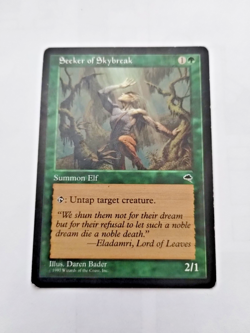 MTG Seeker of Skybreak Tempest Regular Common - Image 1
