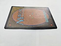 MTG Seeker of Skybreak Tempest Regular Common - Image 5