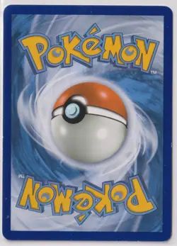 Pokemon Pikachu SM162 Rare Holo Black Star Promo Special Edition 2019 TCG - Image 2
