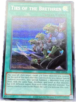 YuGiOh Ties of the Brethren ES01-AE056 Secret Asian English A - Image 1