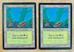 Lot of 2 MTG Beta Forest - Lightly Played Magic the Gathering Beta Edition cards - Image 1