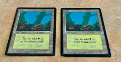 Lot of 2 MTG Beta Forest - Lightly Played Magic the Gathering Beta Edition cards - Image 3