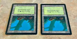 Lot of 2 MTG Beta Forest - Lightly Played Magic the Gathering Beta Edition cards - Image 5