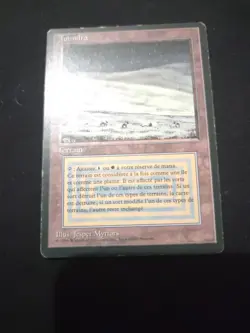 MTG HP Foreign Revised Black Border Toundra/(Tundra) French - Image 1