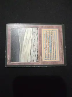 MTG HP Foreign Revised Black Border Toundra/(Tundra) French - Image 2