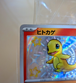 Pokemon Card Charizard Leon Promo + Charmander Charmeleon Holo Set Japanese - Image 5