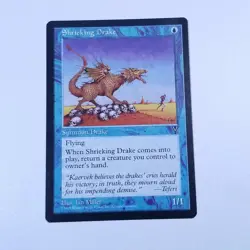 MTG Shrieking Drake Visions LP - Image 1