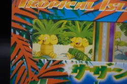 [Sealed] Southern Islands Beach | Japanese Pokemon TCG | 3-card set, Mint! - Image 2