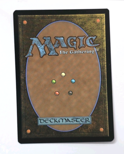 MTG Magic The Gathering Tenderize C 0133 Teenage Mutant Ninja Turtles Foil TMNT - Image 2