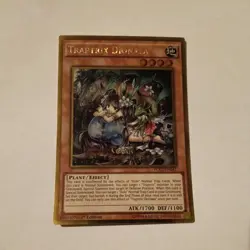 Yugioh Traptrix Dionaea PGL2-EN041 Gold Rare 1st Edition - Image 1