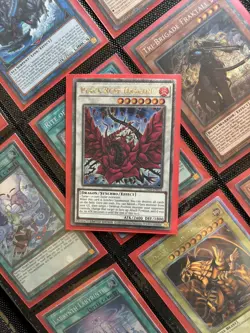YUGIOH Quarter Century Rare Black Rose Dragon TN23-EN014 - Image 1