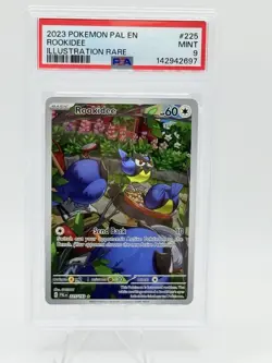 2023 POKEMON PAL EN-PALDEA EVOLVED ILLUSTRATION RARE #225 ROOKIDEE PSA 9 - Image 1