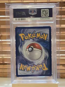 Pokemon TCG Phanpy Card Surging Sparks 205/191 PSA 10 - Image 2