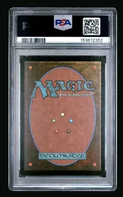 2025 MTG FINAL FANTASY CHOCOBO BUNDLE #0568 TRAVELING CHOCOBO PSA 10 - Image 2