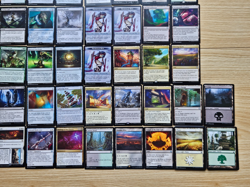 Custom Commander Deck ~ The Rot Swarm ~ Vishgraz, the Doomhive ~ 100 Card Deck - Image 5