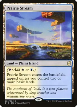 Prairie Stream - 265 / English / Near Mint MTG - Image 1