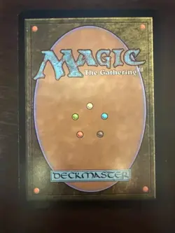 Magic the Gathering MTG Ungraded Raw: Hallowed Fountain - Return to Ravnica - Image 2
