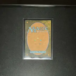 Magic: The Gathering Foil Land Lot - 4 Cards, Plains, Swamp, Forest, Sun-Blesse… - Image 3