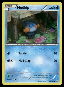 Mudkip 33/160 Common Primal Clash Pokemon Holo NM/M - Image 1