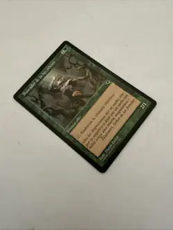 MTG * Seeker of Skybreak NM+ Unplayed Spanish FBB Tempest Regular SellbyCyn - Image 5