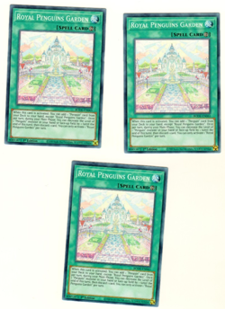 Set Of 3 Royal Penguins Garden BODE-EN063 Burst Of Destiny 1st Edition Yugioh - Image 1