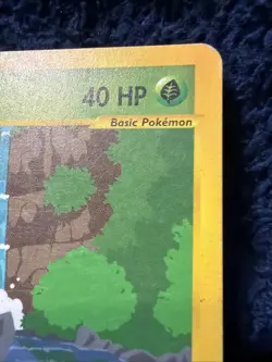 Pokemon Skyridge Sunkern 106/144 Vintage LP - Image 3