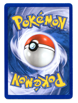 Pokemon Card - Sceptile 4/17 - POP Series 1 - Holo - - Image 2